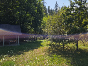 House in Olovo, for vacation or permanent residence photo 5
