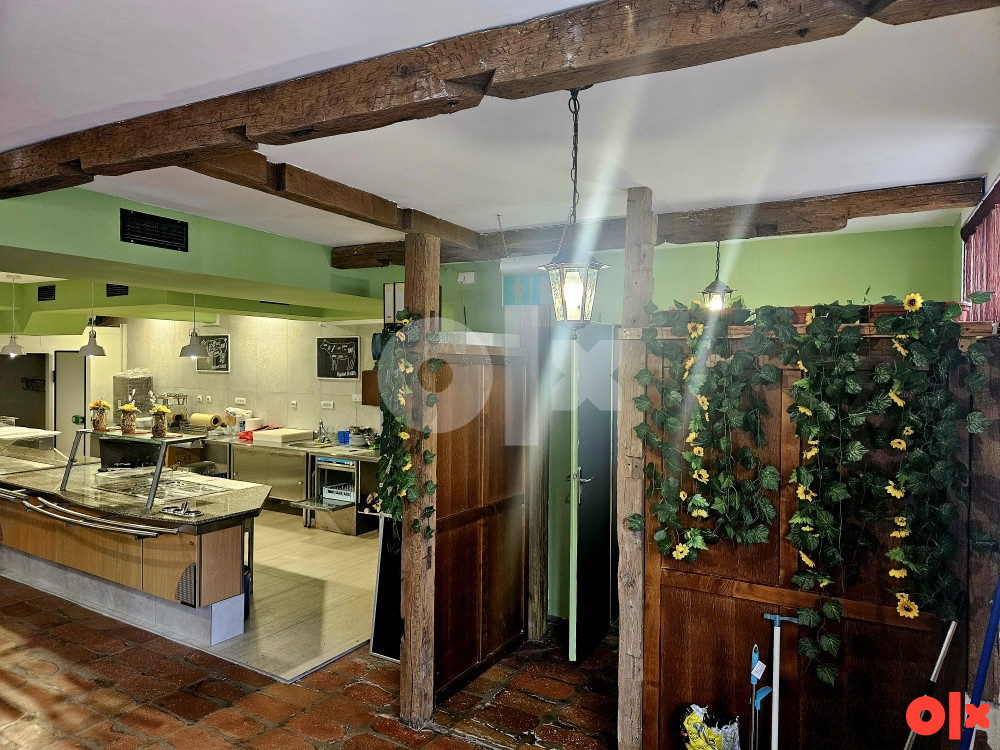 MESNICA / ROŠTILJNICA /POSLOVNI PROSTOR/KUHINJA/RESTORAN 6