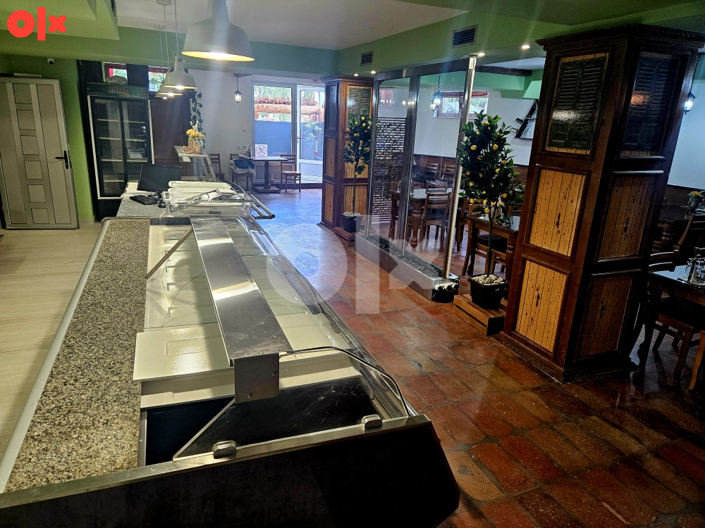 MESNICA / ROŠTILJNICA /POSLOVNI PROSTOR/KUHINJA/RESTORAN 8