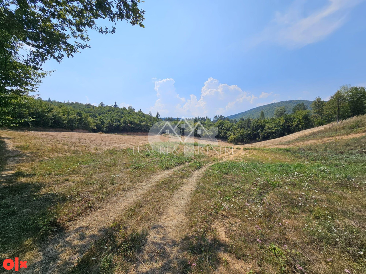 Prodajem zemljiste u Misevicima - 12.774 m2 11