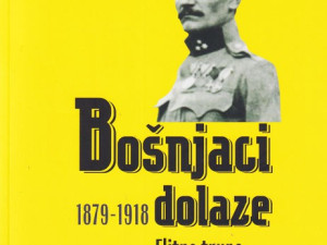 Bošnjaci dolaze 1879-1918., Werner Schachinger
