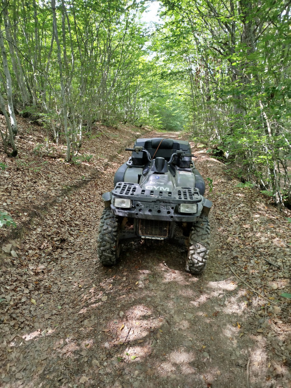 Atv quad Polaris Magnum 325