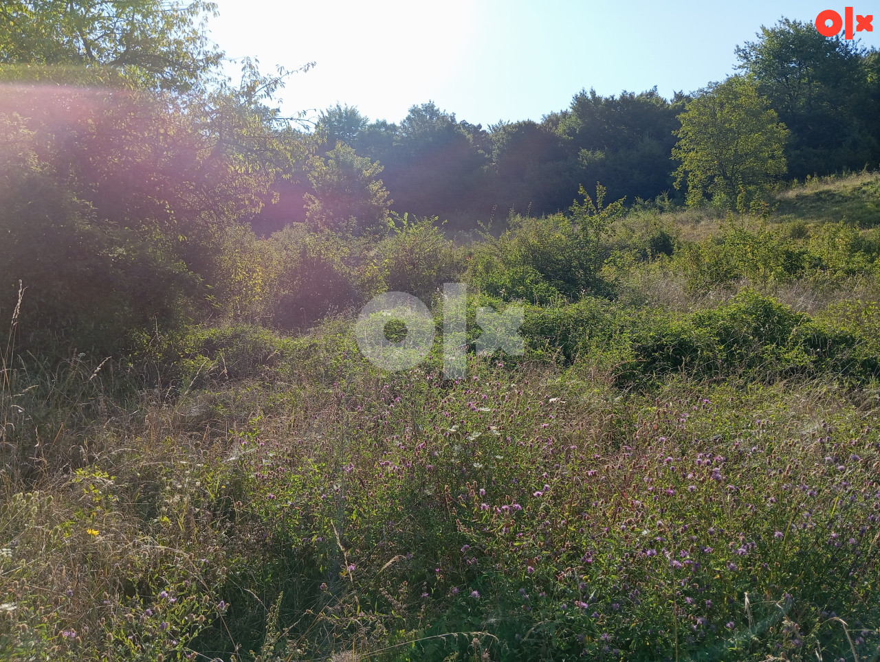 Zemljište Semizovac 2714 m2 3