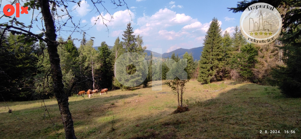 Zemljište Pale, Mokro, Kadino selo, cca 5800m2 2