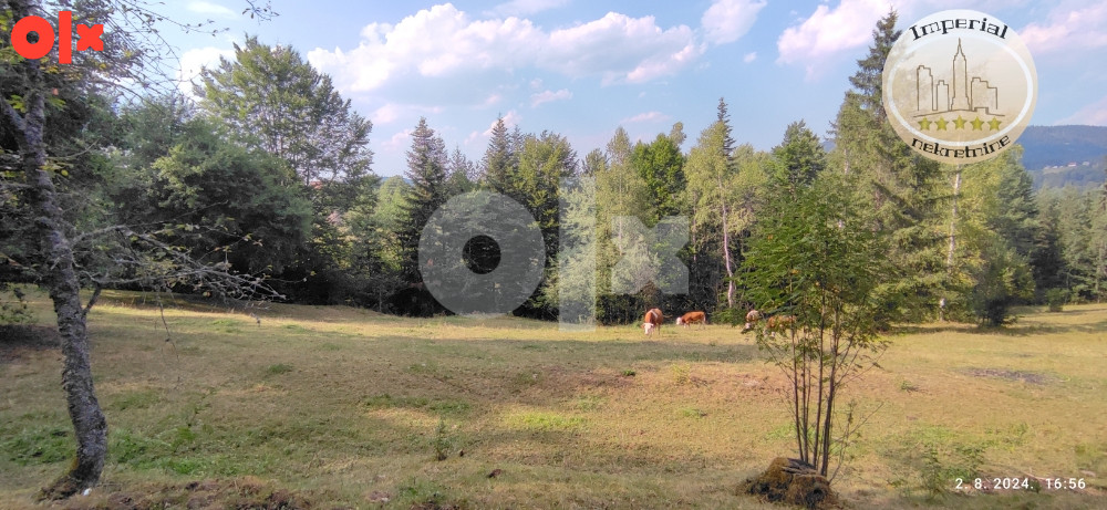 Zemljište Pale, Mokro, Kadino selo, cca 5800m2 3