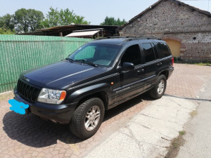 Usisna grana Sorento qashaqai navara l200 rav4 x trail murano wj