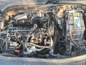 Audi A3 8P  1.6 TDI  motor 66 kw