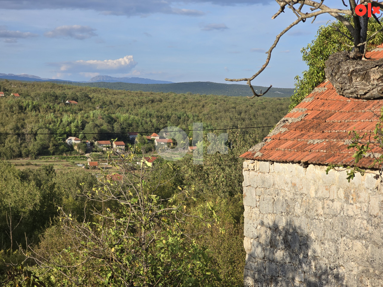 Imanje s kućom Grude / Ruzici 8
