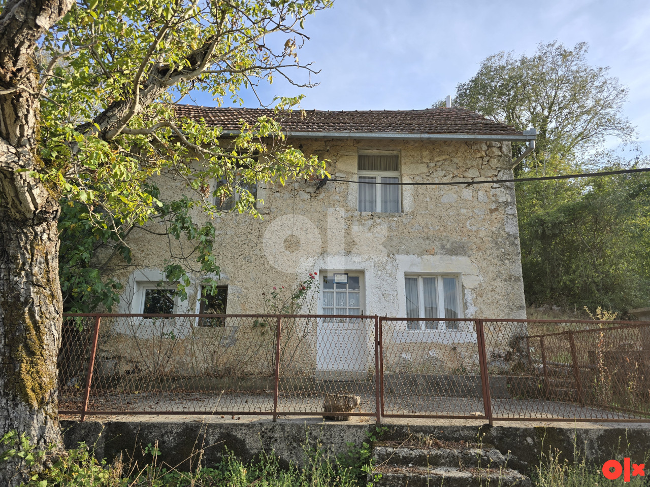 Imanje s kućom Grude / Ruzici 9