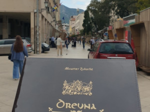 DREVNA BOSNA MUAMER ZUKORLIC