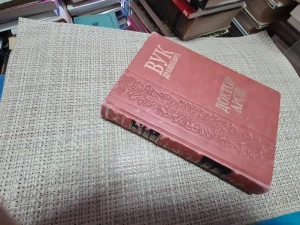 DOKTOR ARON, Vuk Drašković