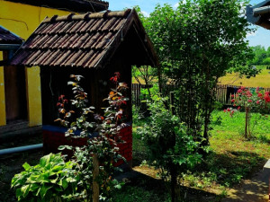 Osječanj Donji kuća na prodaju 065 001 945 photo 3