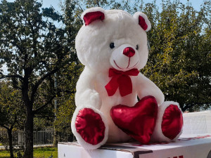 Plišani medo, plišanci, igracke