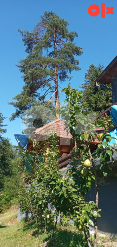 Vikendica MULIĆ  Banovići...IZDAJE SE....PRODAJE SE... 2