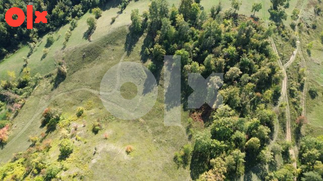 Zemljište, Konjevići, P=16471m2 2