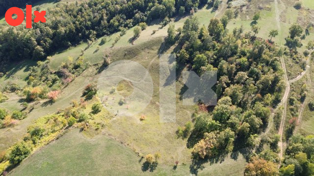 Zemljište, Konjevići, P=16471m2 4