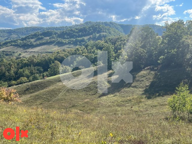 Zemljište, Konjevići, P=16471m2 5