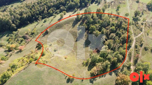 Zemljište, Konjevići, P=16471m2 6