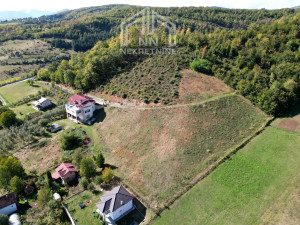 NN Nekretnine: Stambeno-poslovni objekat sa zemljištem - Vlakovo photo 2