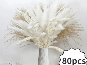 Ukrasna dekorativna pampas trava 80/1