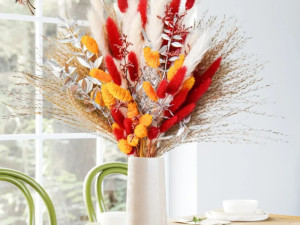 Ukrasna pampas trava 60/1 red