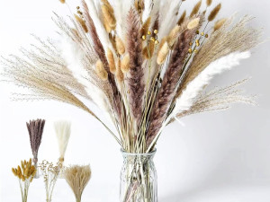 Ukrasna pampas trava 65/1