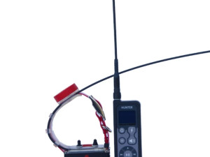 HUNTER GPS 25000 PRO za praćenje pasa JAČI MODEL