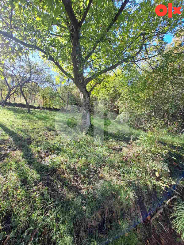Tuzla vikendica 25m2 na placu 1440m2 4