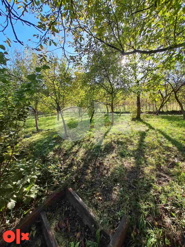 Tuzla vikendica 25m2 na placu 1440m2 16
