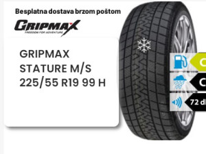 225/55 R 19 99H GRIPMAX STATURE M/S