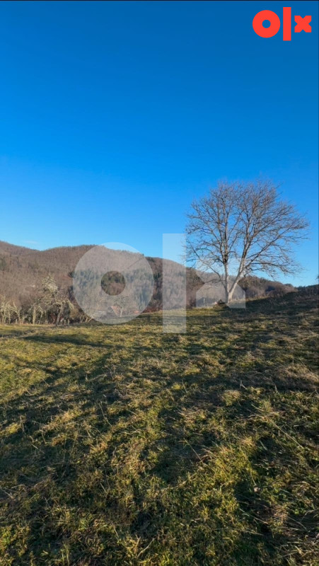 Kuća Olovo i zemlje 7500m2