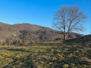 Kuća Olovo i zemlje 7500m2