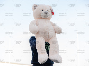 Veliki plisani medo / Medvjed / Mede - 100 cm / 1 m