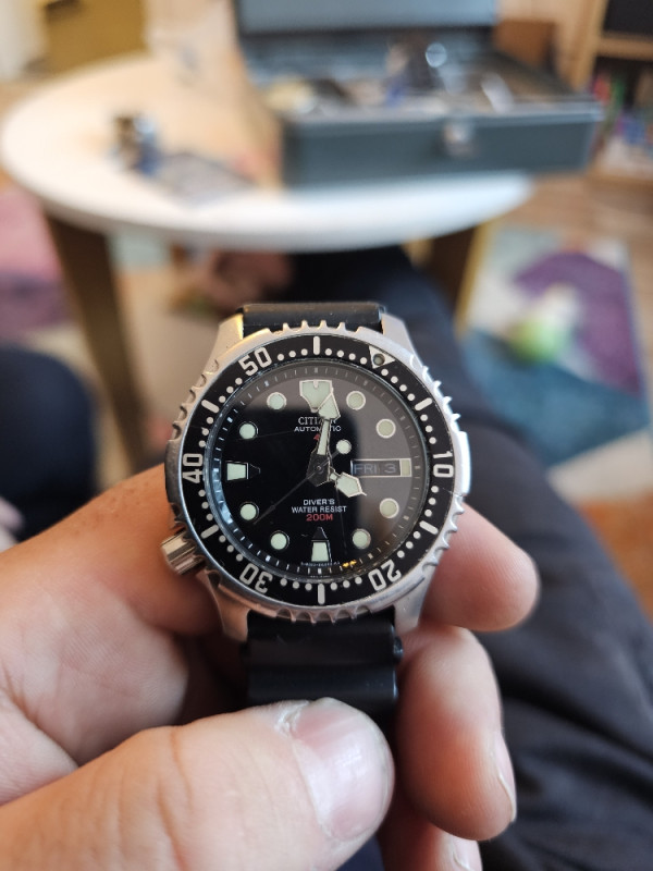 Sat Citizen Promaster Automatic Ronilacki Sat Marine