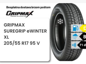 205/55 R 17 95V XL GRIPMAX SUREGRIP eWINTER