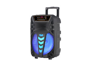 Zvučnik NDR-W1012 (FM/USB/TF/bluetooth/TWS) 12"