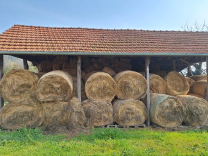 Sijeno u rolo balama