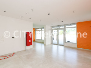 Poslovni prostor - Centar - Šip - 55 m2