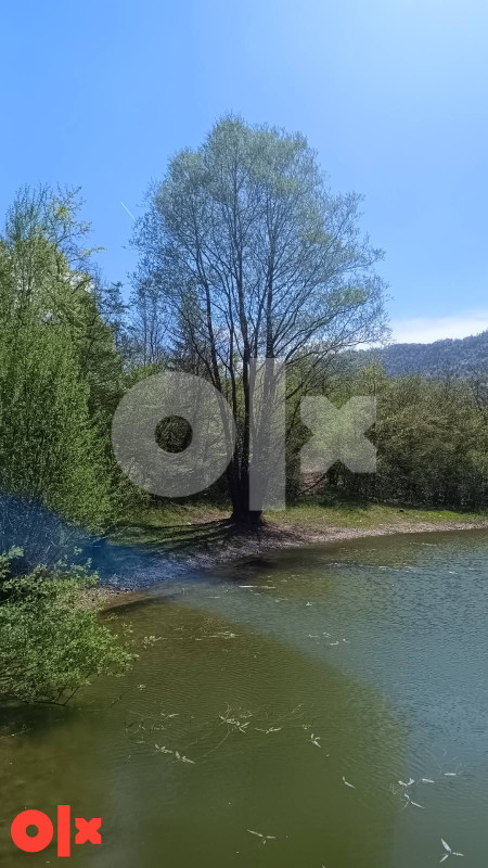 Zemljište u Pljevi, opština Šipovo 14385m2 2