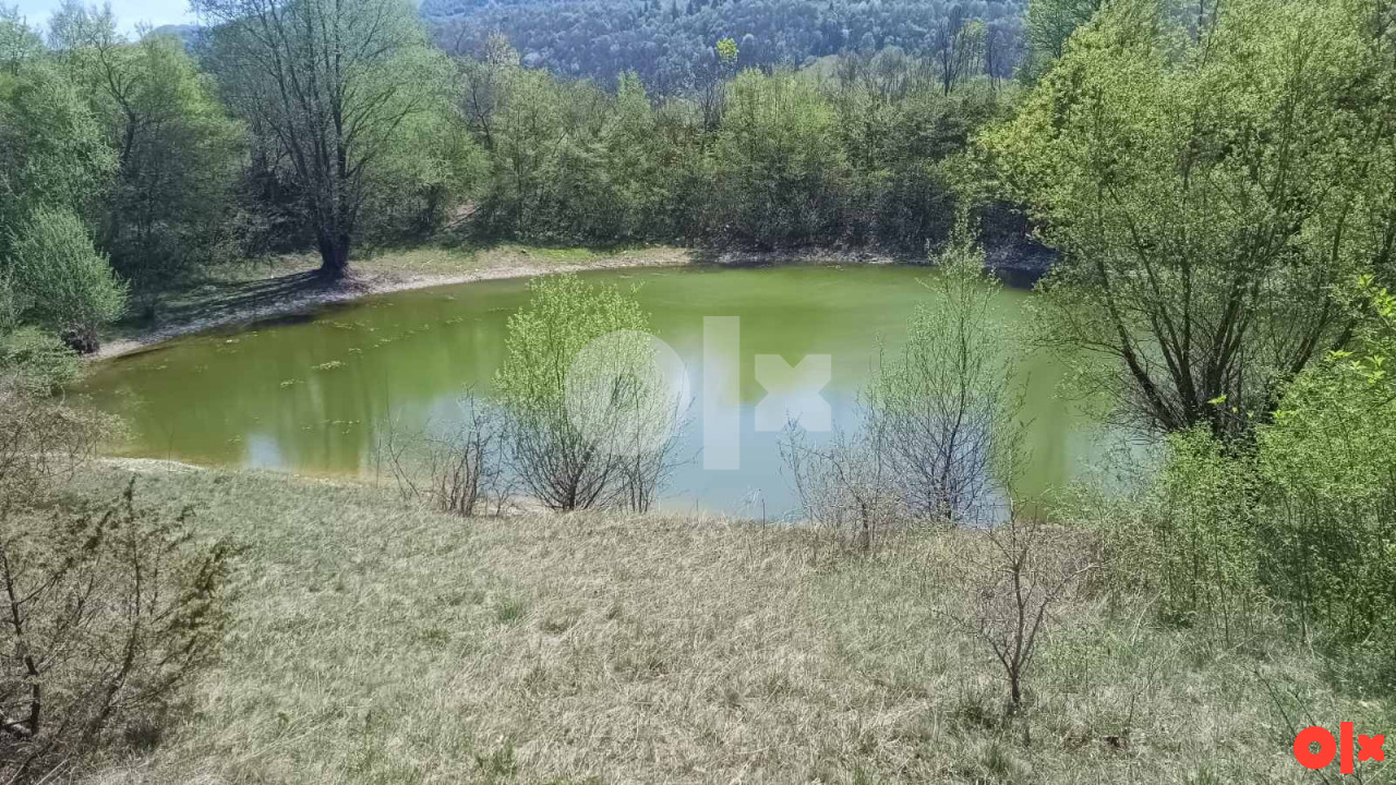 Zemljište u Pljevi, opština Šipovo 14385m2 3