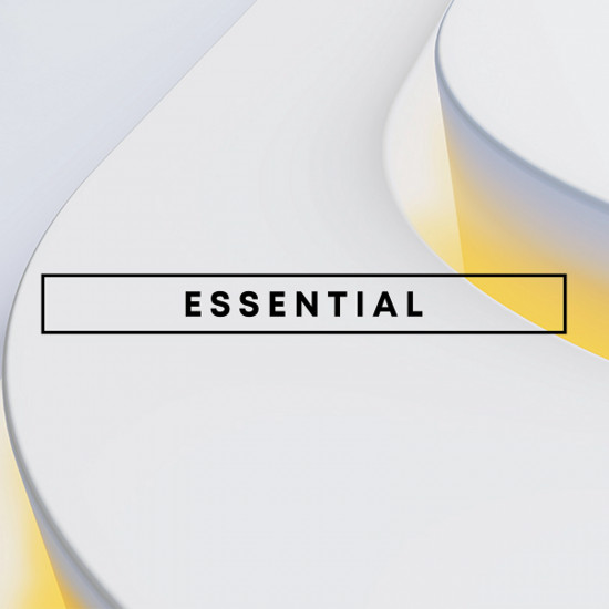 PLAYSTATION PLUS ESSENTIAL 1 3 12 MJ (PS4/PS5)