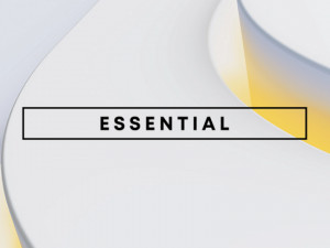 PLAYSTATION PLUS ESSENTIAL 1 3 12 MJ (PS4/PS5)