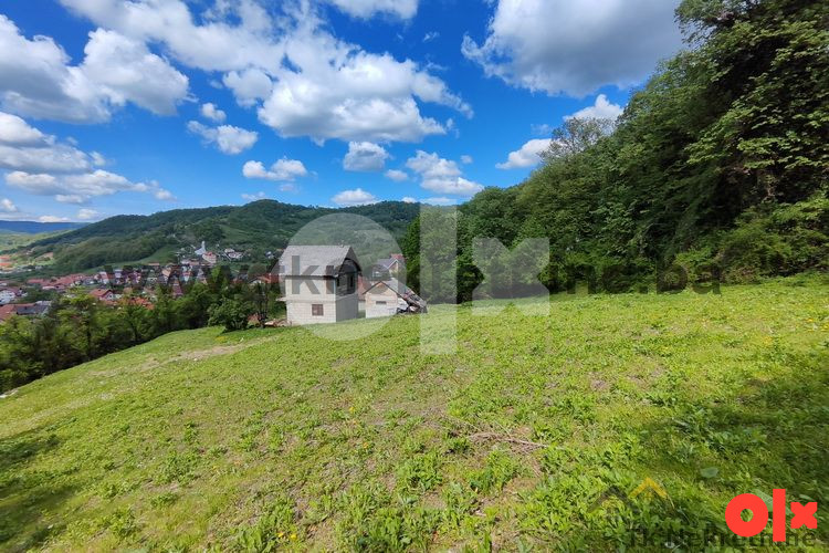 MALA SOLINA - Parcela površine 5523 m2, sa voćnjakom