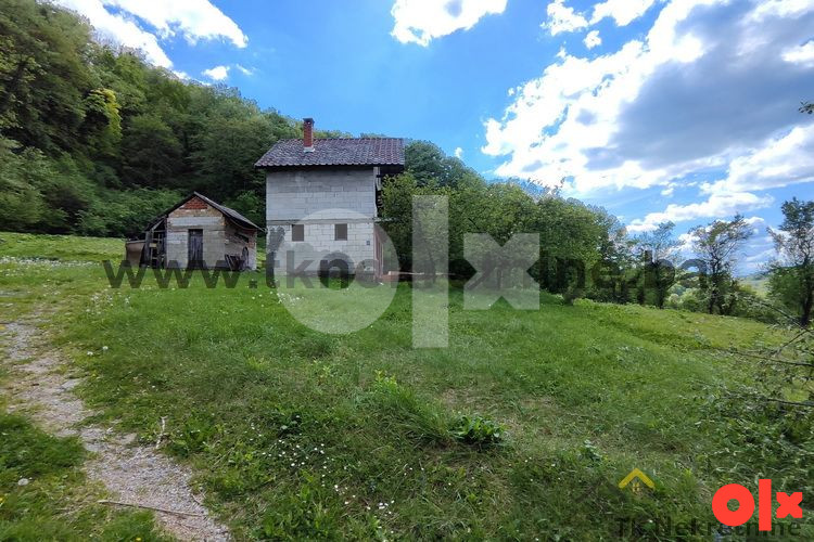 MALA SOLINA - Parcela površine 5523 m2, sa voćnjakom 2
