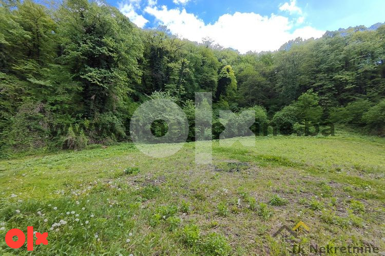 MALA SOLINA - Parcela površine 5523 m2, sa voćnjakom 3