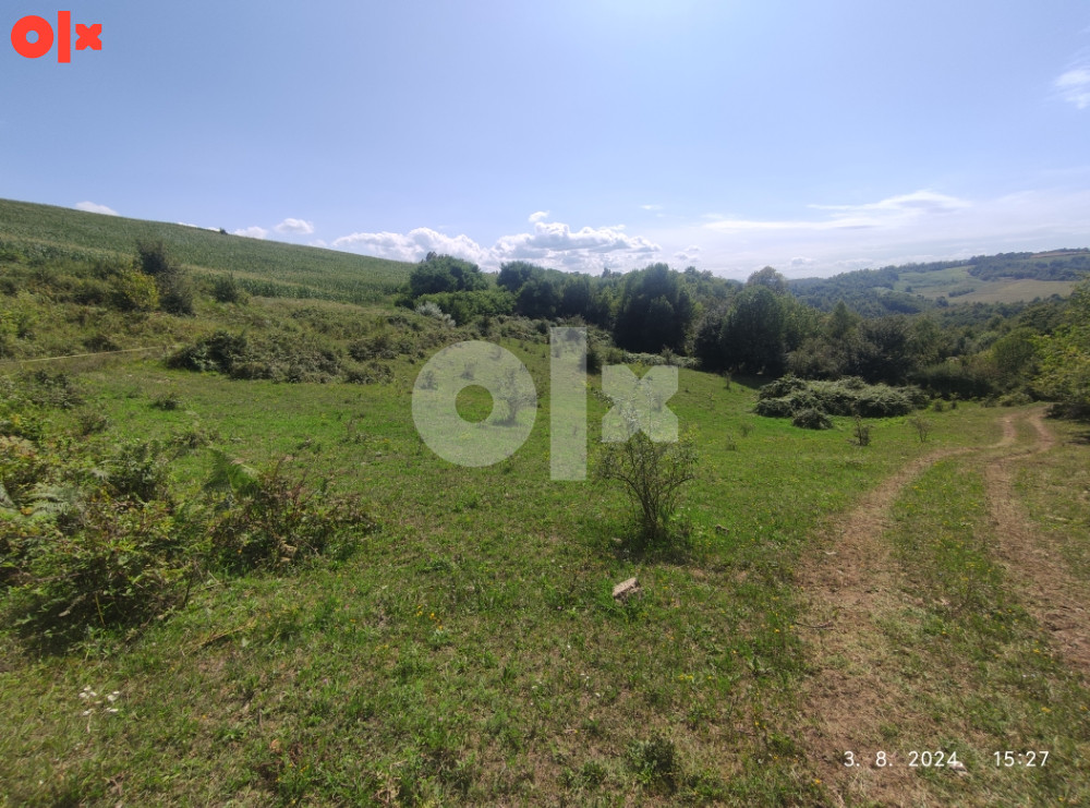 Plac 2900 m2 - Čokorska Polja - Bistrica