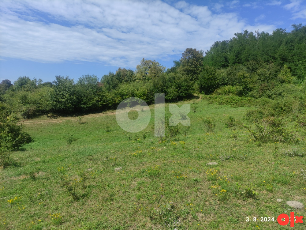 Plac 2900 m2 - Čokorska Polja - Bistrica 3
