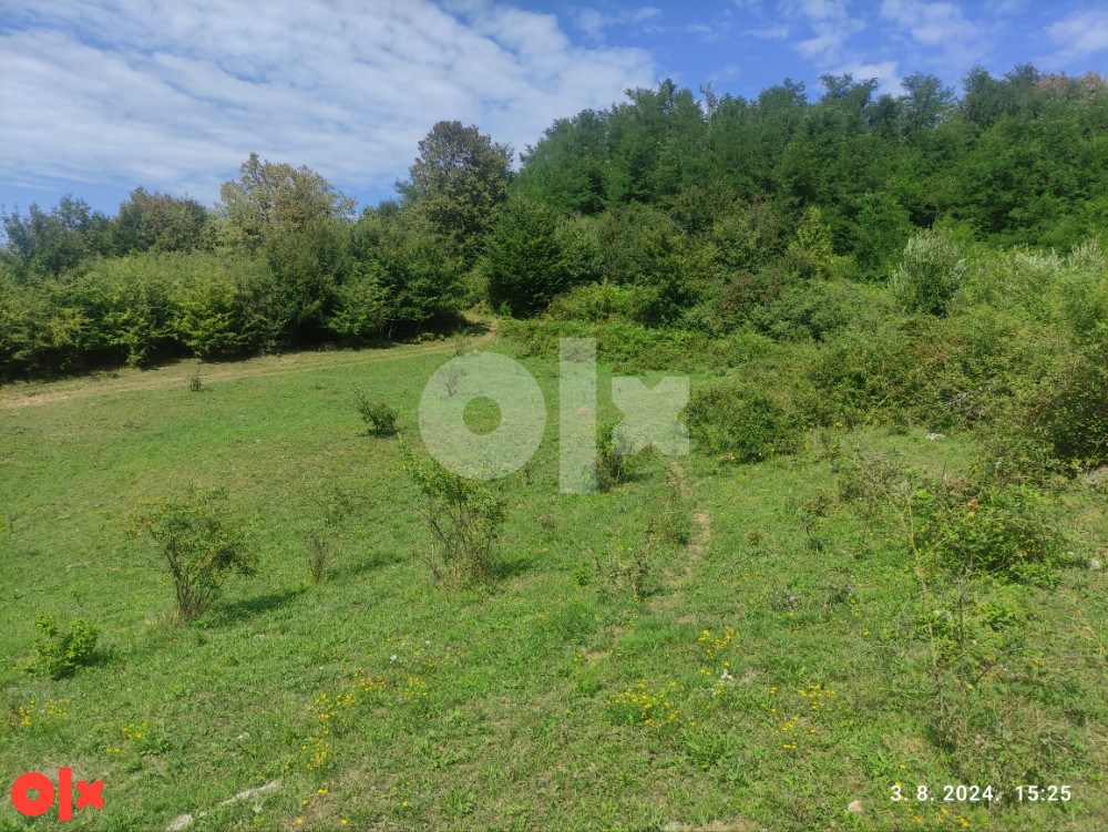 Plac 2900 m2 - Čokorska Polja - Bistrica 2
