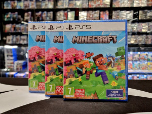 PS5 Minecraft (PlayStation 5)