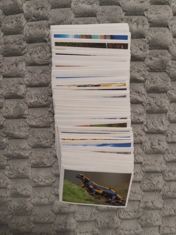 SPAR Stickermania 2024 - Album plus komplet set slicica 1-200